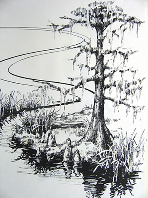 Cypress Tree Sketch at PaintingValley.com | Explore collection of ...
