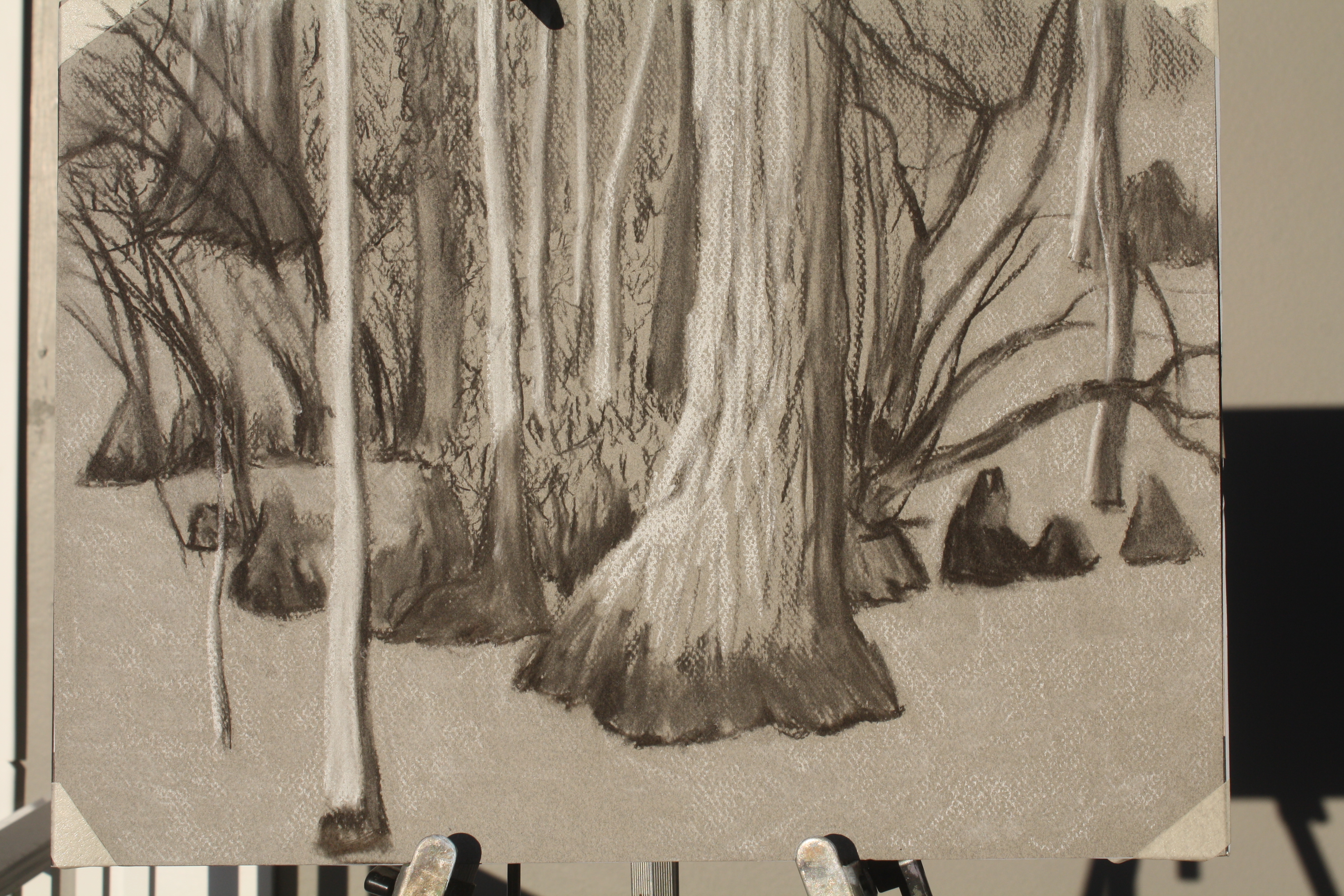 Cypress Tree Sketch at PaintingValley.com | Explore collection of ...