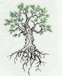 236x290 Drawn Tree Cypress - Cypress Tree Sketch