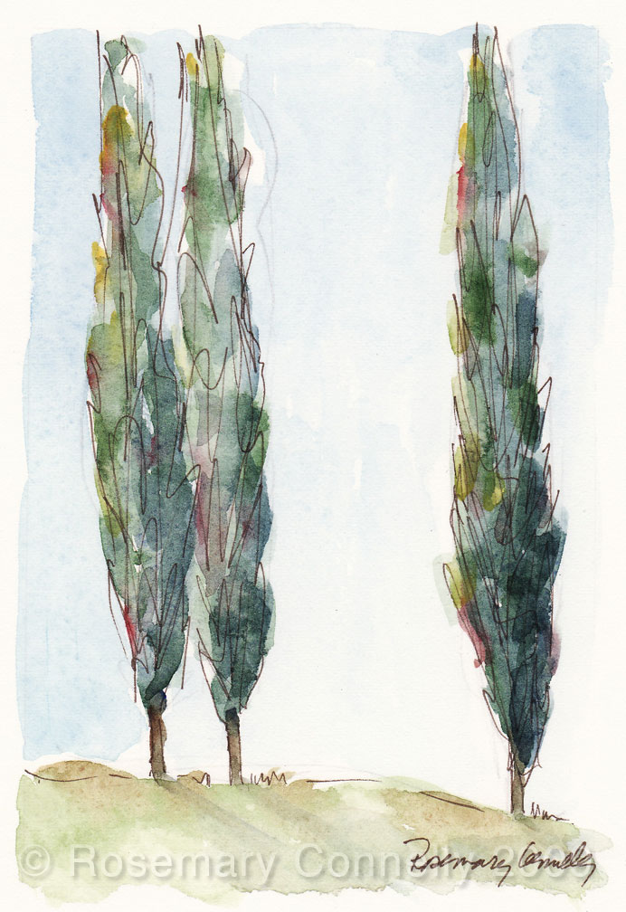 Cypress Tree Sketch at PaintingValley.com | Explore collection of ...
