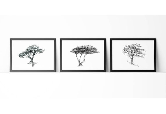 570x392 Tree Art Set Of 3 Prints Cypress Tree Drawing Bonsai Etsy - Cypress Tree Sketch