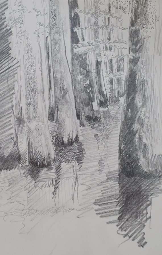 570x893 Graphite Sketch Of Cypress Swamp Original Pencil Drawing Etsy - Cypress Tree Sketch