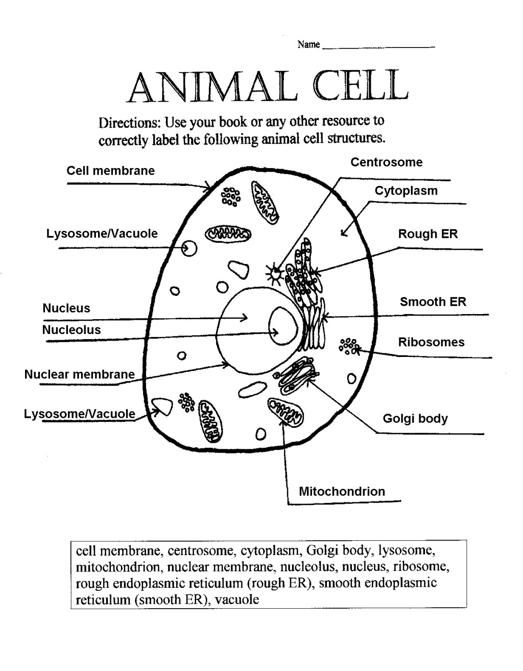 1024x1314 Animal Cell Pencil Sketch 3d Animal Cell Drawing With Labels Plant - Cytoplasm Sketch