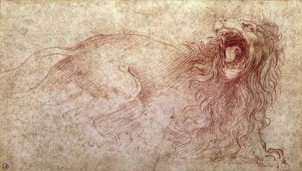 600x340 Leonardo Da Vinci Sketch Of A Roaring Lion (Red Chalk On Paper - Da Vinci Sketches
