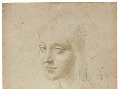 384x288 See Rare, Beautiful Drawings By Leonardo Da Vinci - Da Vinci Sketches