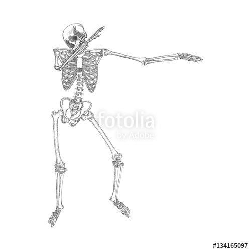 500x500 Human Skeleton Posing Dab, Perform Dabbing Dance Move Gesture - Dab Sketch