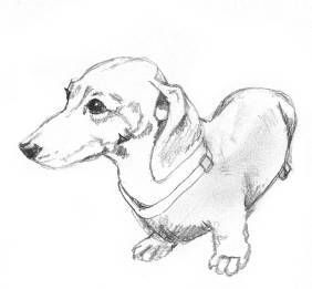 282x261 Sketch Of Dachshund Arte Dachshunds, Sketches And - Dachshund Sketch