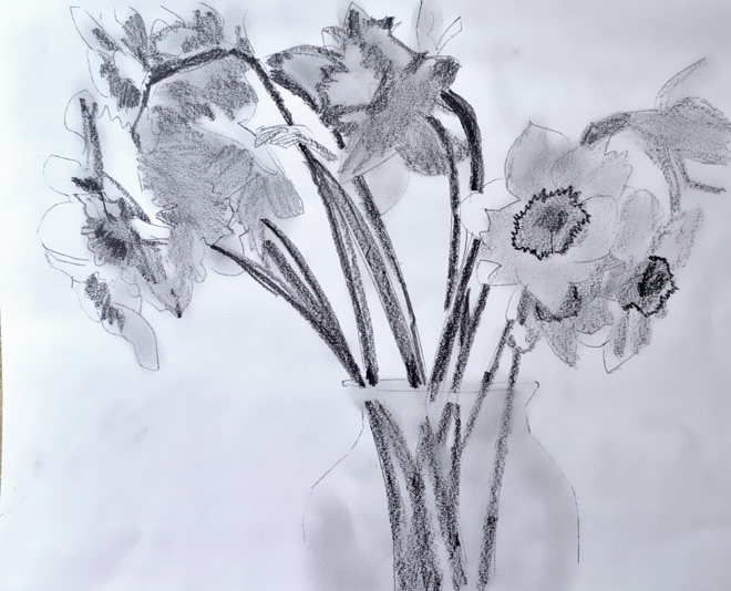 660x534 Daffodils Work In Progress - Daffodil Pencil Sketch