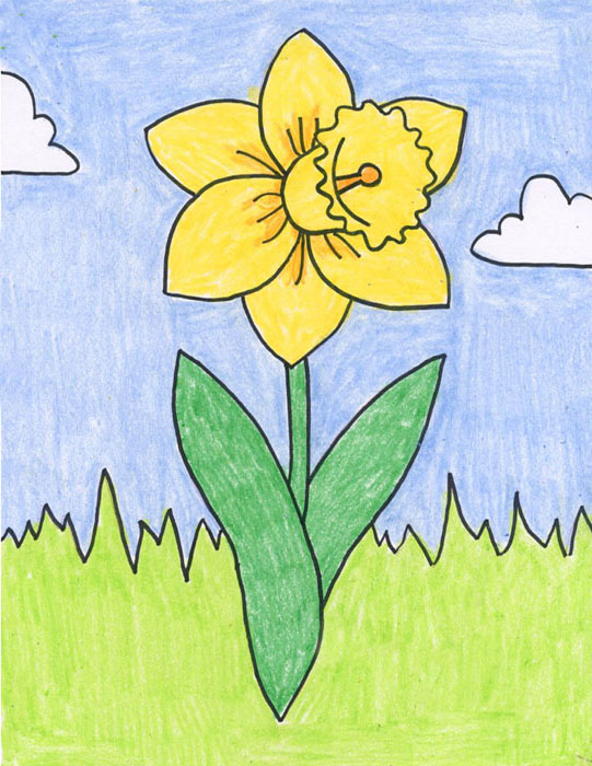 Daffodil Pencil Sketch at Explore collection of