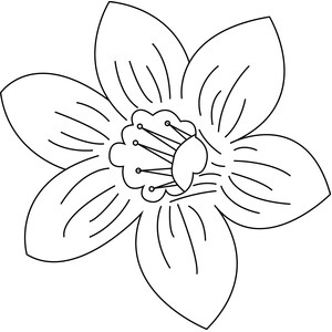 300x300 Silhouette Design Store - Daffodil Sketch