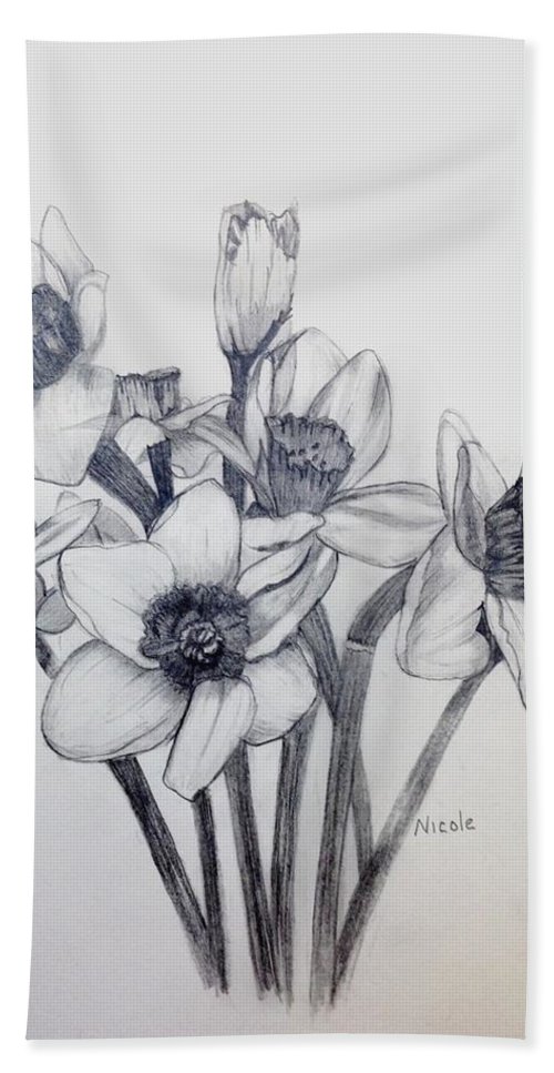 500x967 Daffodil Sketch Beach Sheet For Sale By Nicole Curreri - Daffodil Sketch