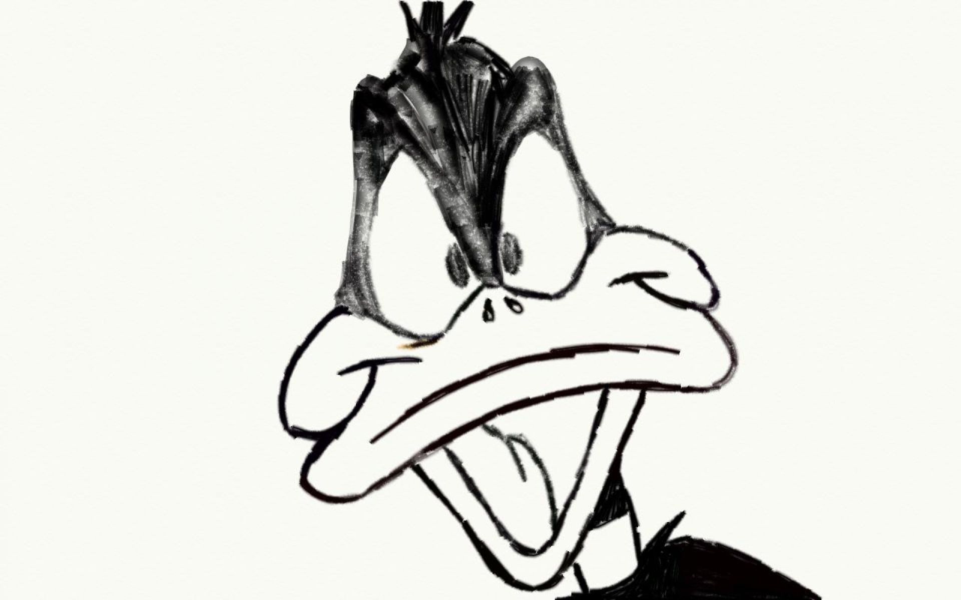 1920x1200 Daffy Duck Pencil Drawing By Joshuadrawsthings - Daffy Duck Sketch