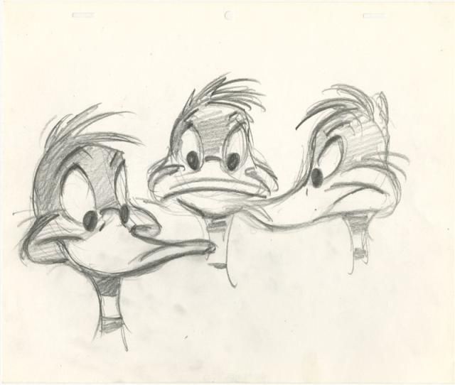 640x542 Original Model Drawing Of Daffy Duck By Chuck Jones Interesting - Daffy Duck Sketch