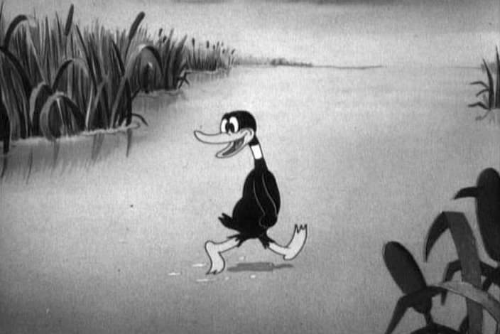 704x470 Daffy Duck Looney Tunes Wiki Fandom Powered By Wikia - Daffy Duck Sketch