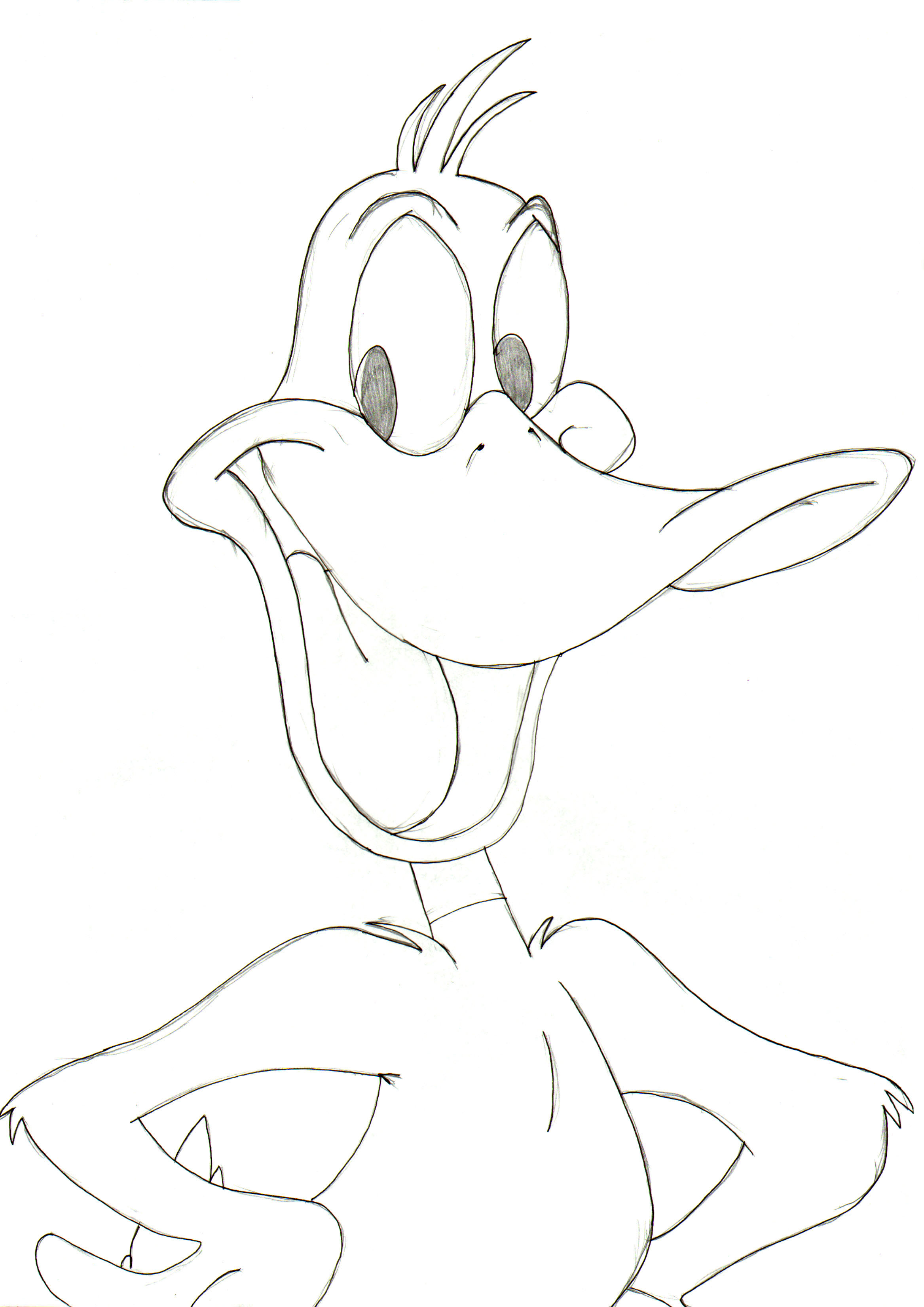 2335x3303 Daffy Duck My Portfolio - Daffy Duck Sketch