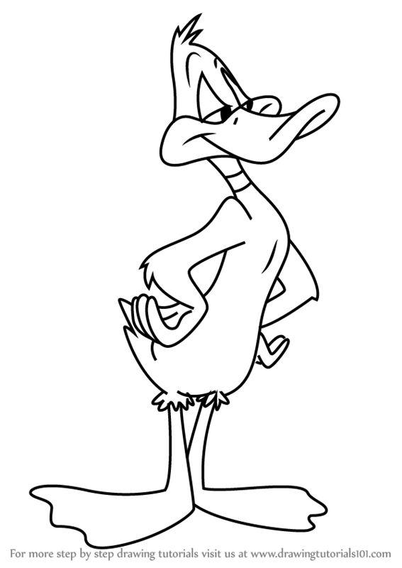 567x800 Daffy Duck Drawing, Pencil, Sketch, Colorful, Realistic Art Images - Daffy Duck Sketch