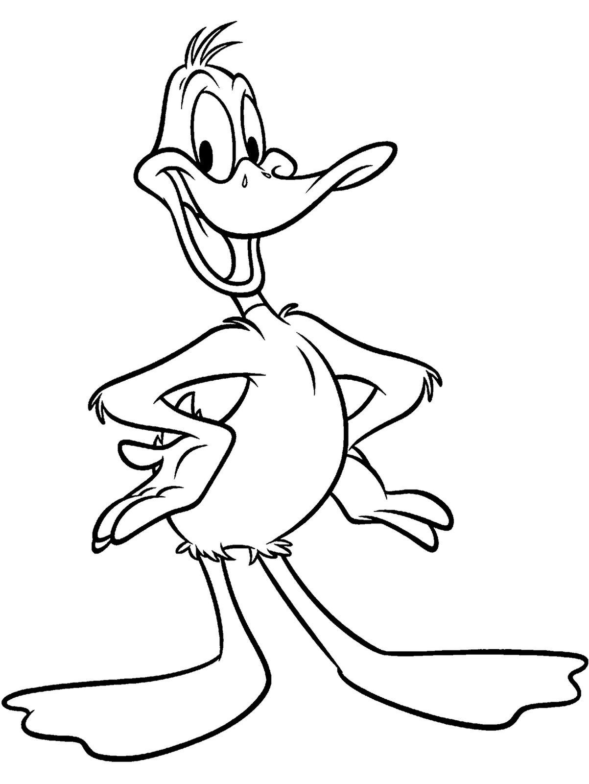1203x1600 Daffy Duck Pictures, Images - Daffy Duck Sketch