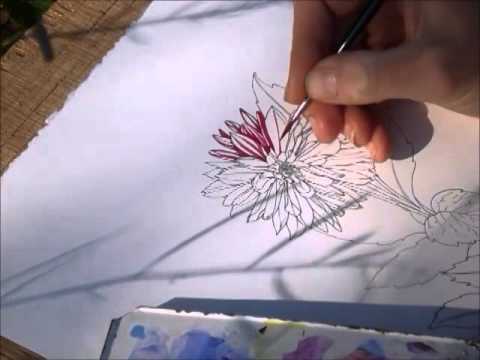 480x360 Dahlia Drawing - Dahlia Flower Sketch
