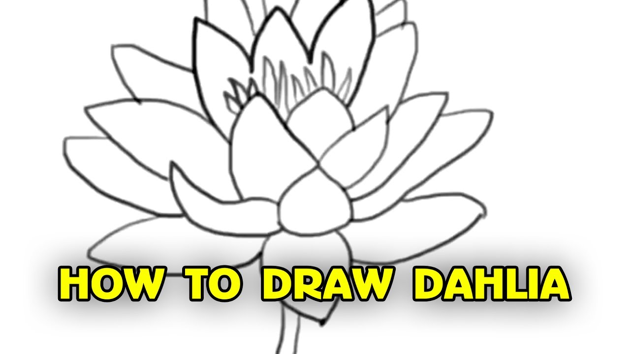 1280x720 Free Tutorial, How To Draw Dahlia - Dahlia Flower Sketch