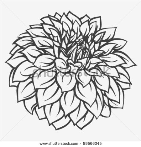 450x470 Dahlia Flower Drawing Tutorials Dahlia Flower - Dahlia Flower Sketch