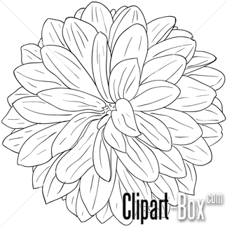 324x324 Dahlia Flower Clip Art - Dahlia Flower Sketch