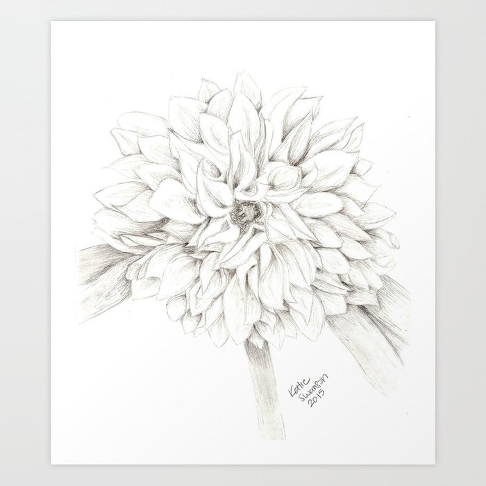 700x700 Dahlia Sketch Art Print By Handmadekatie Society6 - Dahlia Sketch