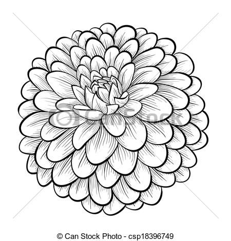 450x470 Dahlia Clipart Drawing - Dahlia Sketch