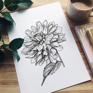300x300 Dahlia Drawing Etsy - Dahlia Sketch
