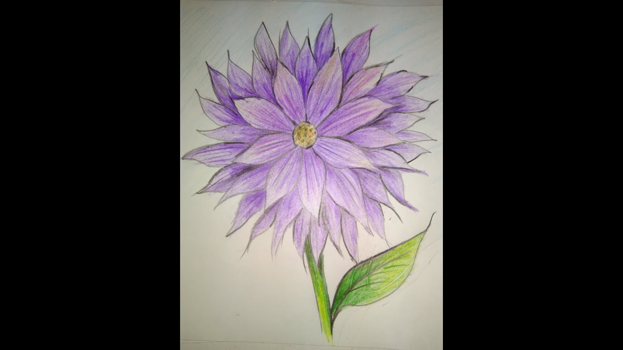 1280x720 Dahlia How To Draw A Dahlia Flower Step By Step Flower Very - Dahlia Sketch