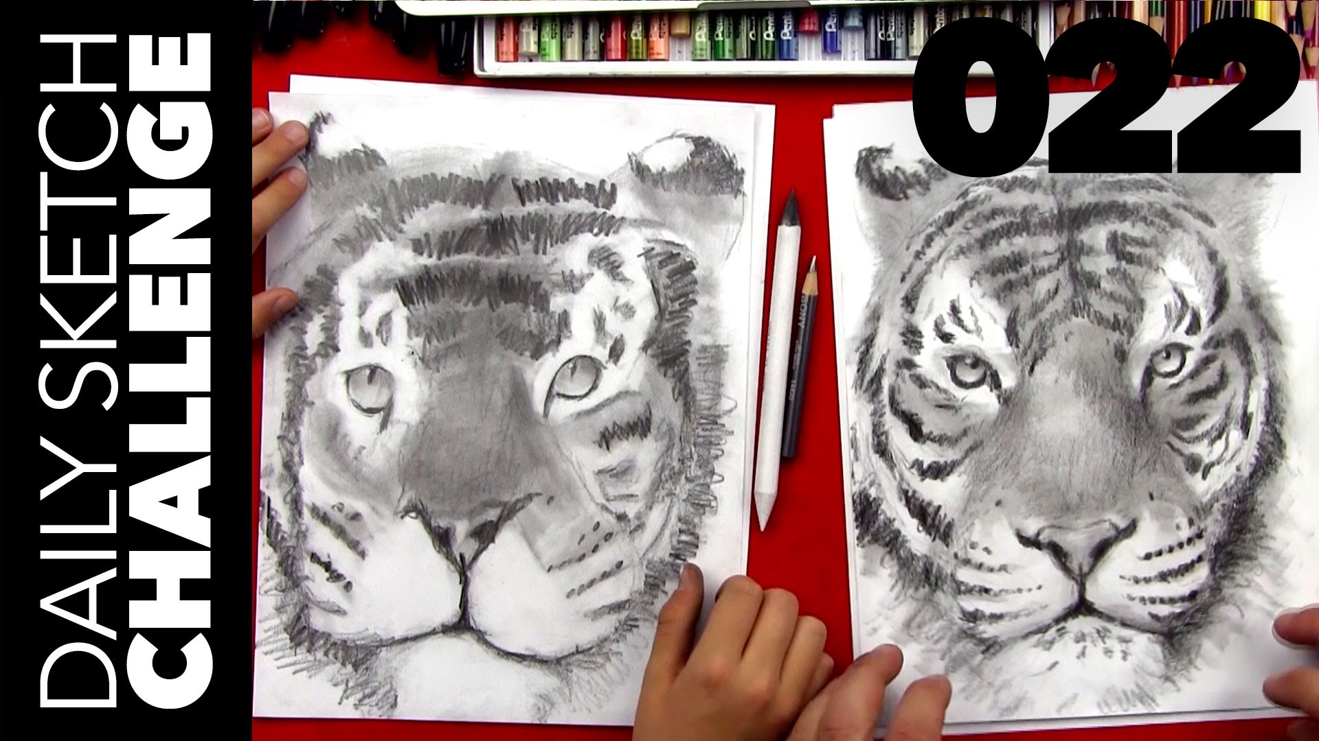 1920x1080 Daily Sketch Challenge 022 Tiger With Chuckers - Daily Sketch Challenge