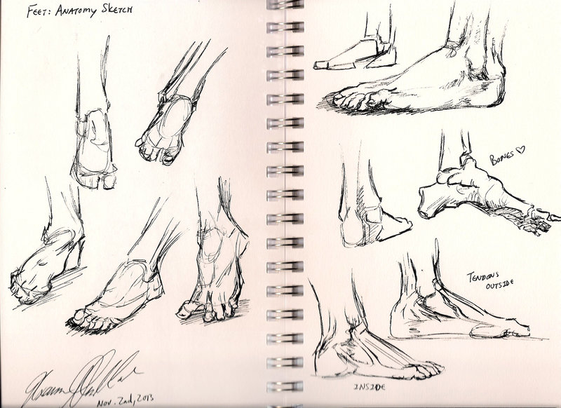 800x582 Daily Sketch Challenge 1 Of 30 By Roxyroo - Daily Sketch Challenge