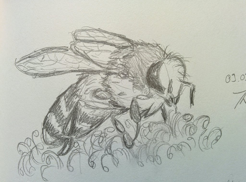 1024x758 Daily Sketch Challenge Day 10 By Chayt - Daily Sketch Challenge