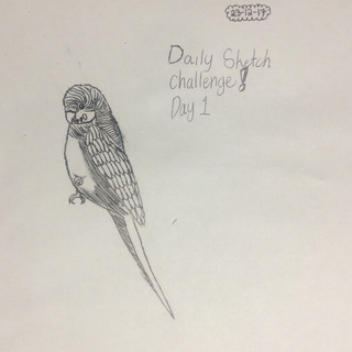320x320 Im Gonna Try To Do The Daily Sketch Challenge For 100 Days - Daily Sketch Challenge