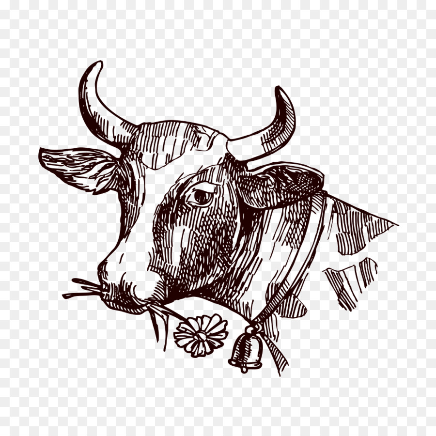 900x900 Texas Longhorn Milk Drawing Sketch - Dairy Cow Sketch