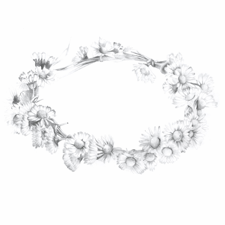 727x727 Category Florals - Daisy Chain Sketch