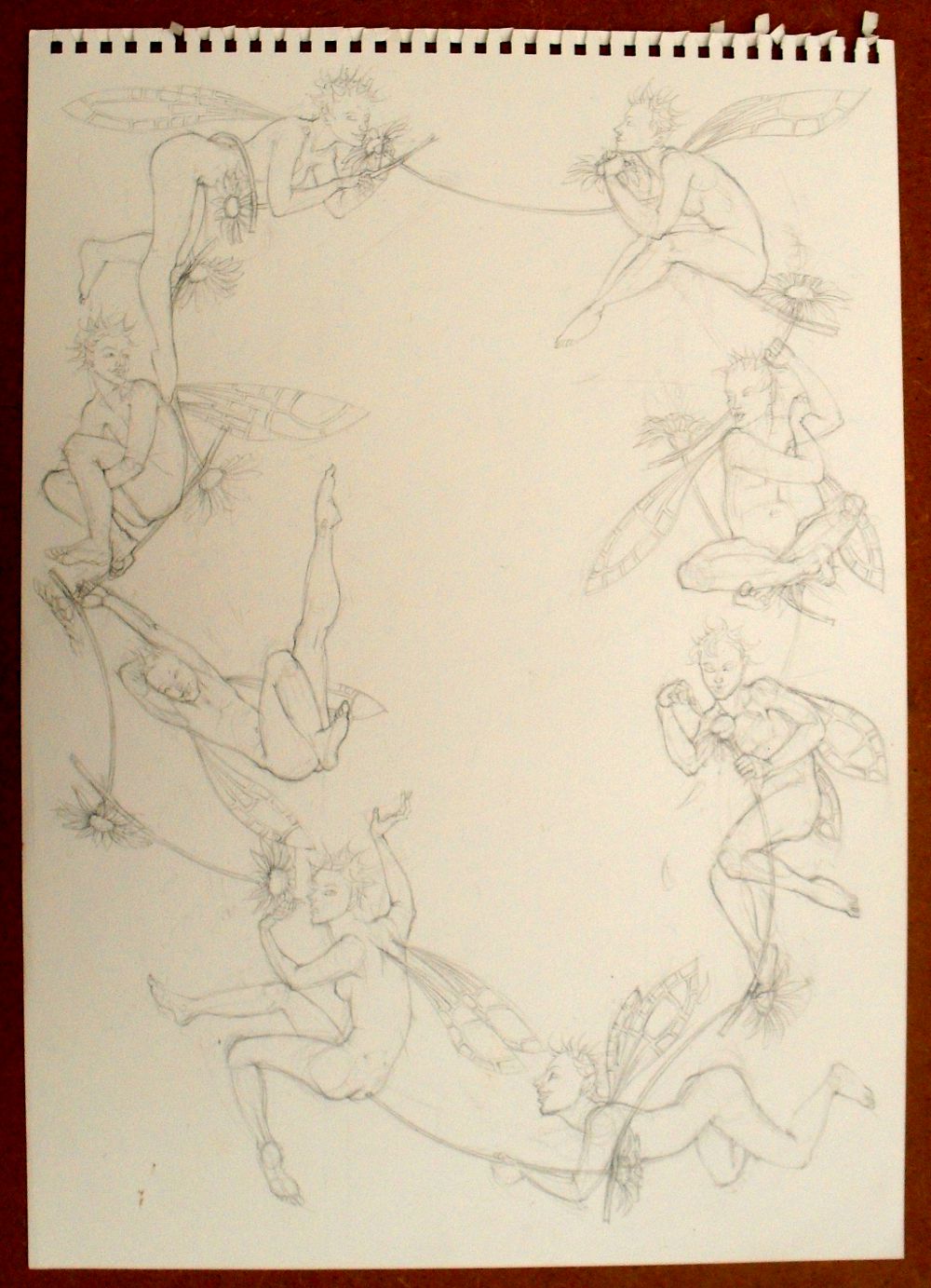 1000x1383 Eight Fairies And A Daisy Art By Nancy Farmer - Daisy Chain Sketch
