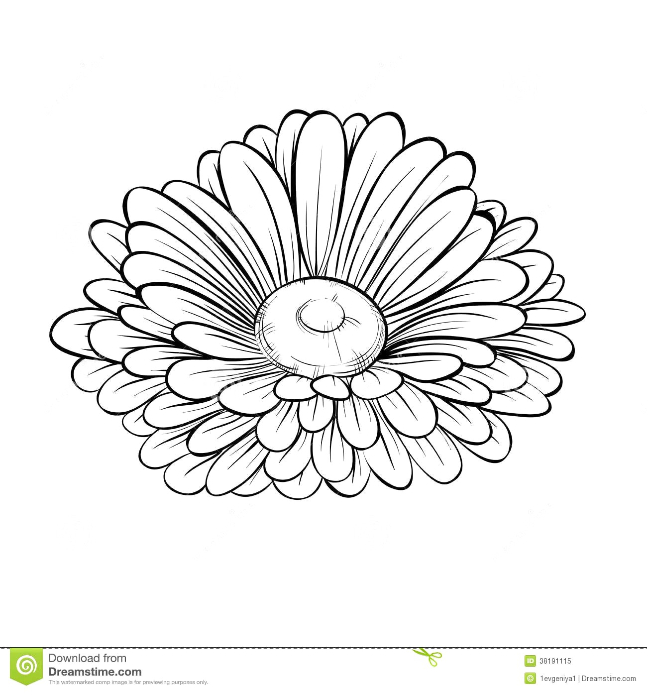1300x1390 Drawing Of A Daisy Flower Sketch Library Throughout Outline 15 - Daisy Flower Sketch