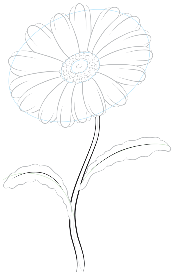 600x952 How To Draw A Daisy Step By Step - Daisy Flower Sketch