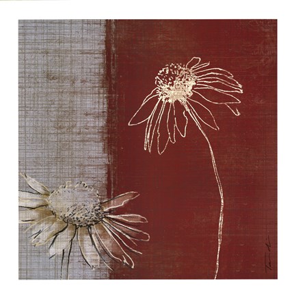 433x432 Daisy Sketch Ii Fine Art Print By Tandi Venter - Daisy Sketch