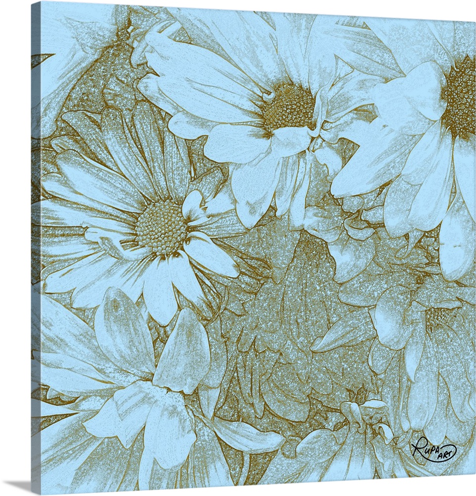 961x1000 Daisy Sketch Ii Wall Art, Canvas Prints, Framed Prints, Wall Peels - Daisy Sketch