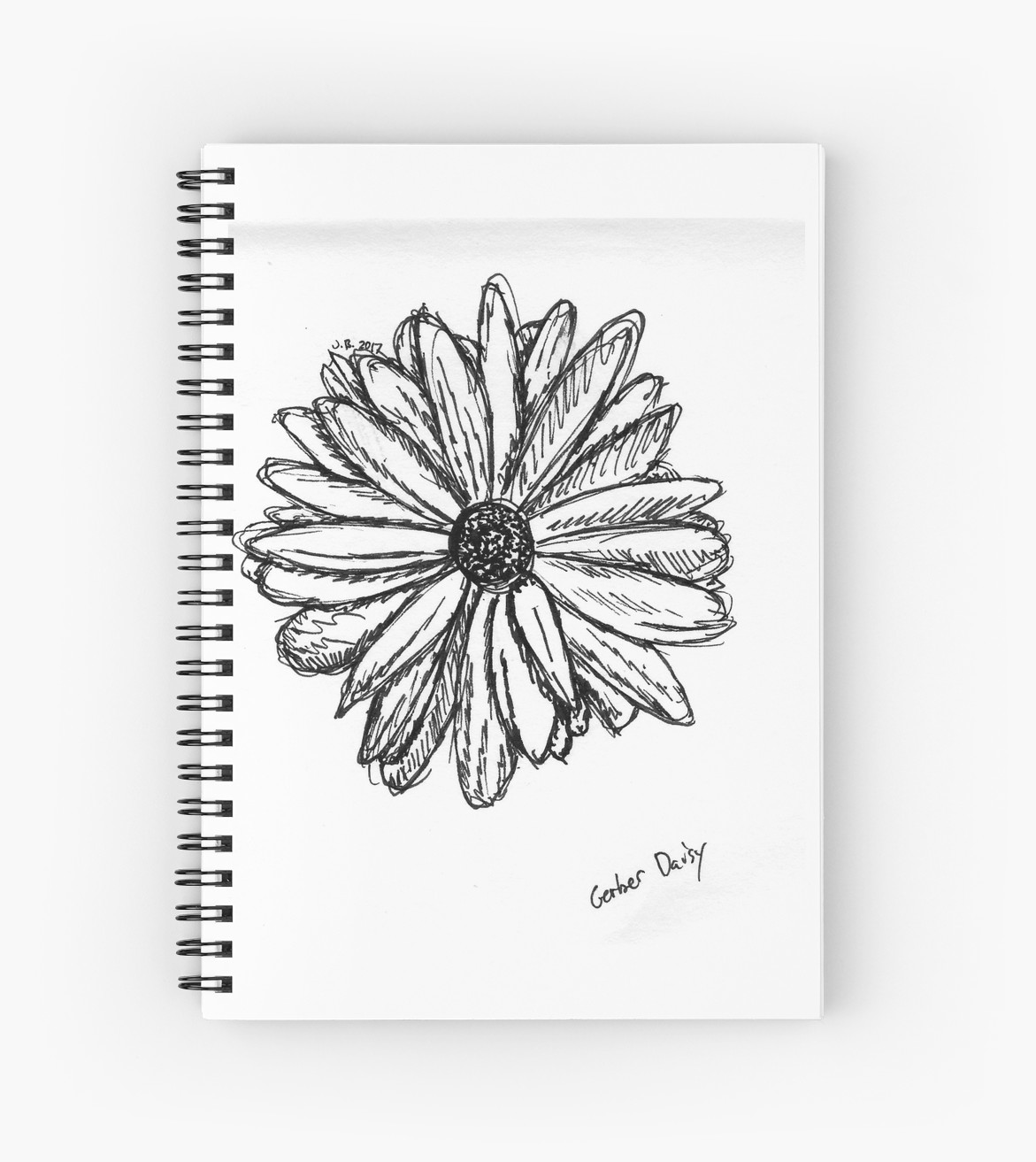 1171x1313 Gerber Daisy Sketch Spiral Notebooks By Juliadream Redbubble - Daisy Sketch