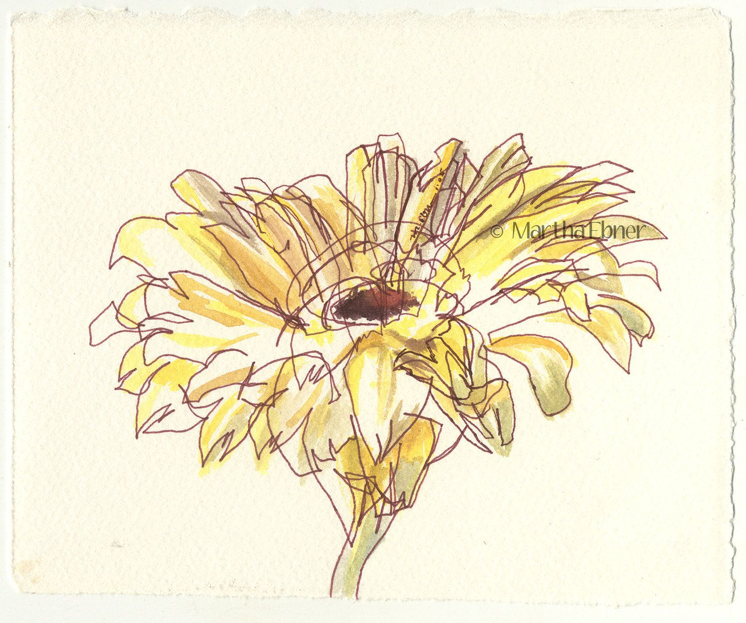 1500x1253 Simple Daisy Sketch - Daisy Sketch