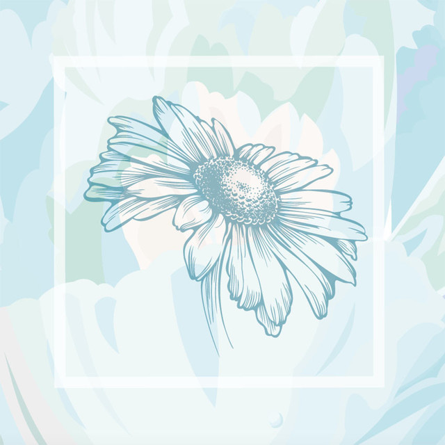 640x640 Daisy Sketch Blue Wallpaper Mural - Daisy Sketch
