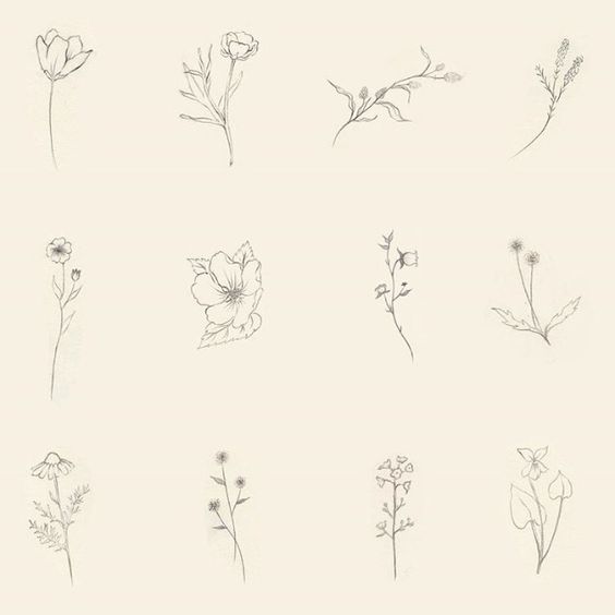 564x564 Minimalist Tattoo Ink Tattoos, Flower Tattoos And - Daisy Sketch Tattoo