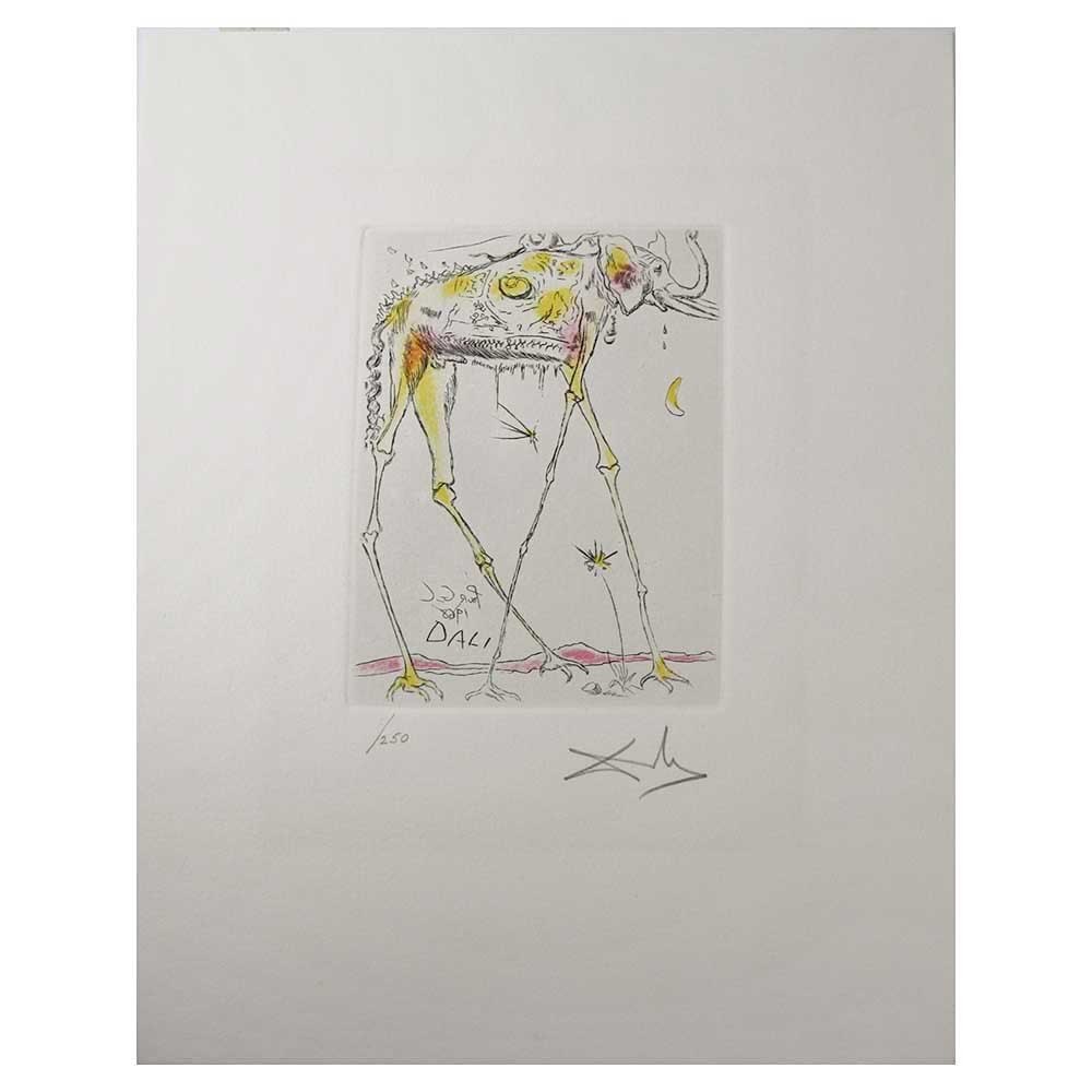 1000x1000 Salvador Dali - Dali Elephant Sketch