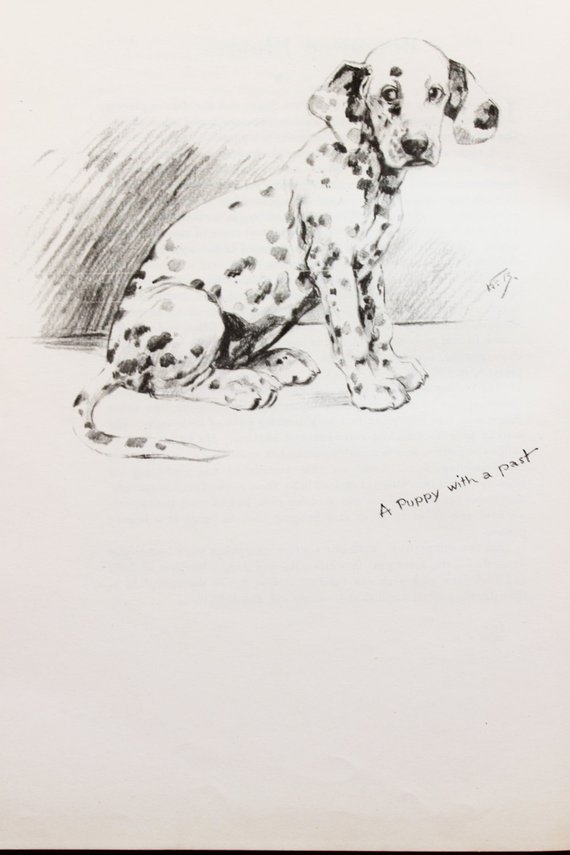 570x855 Dalmatian Puppy Dog. Vintage Black Amp White Pencil Sketch Or Etsy - Dalmatian Sketch