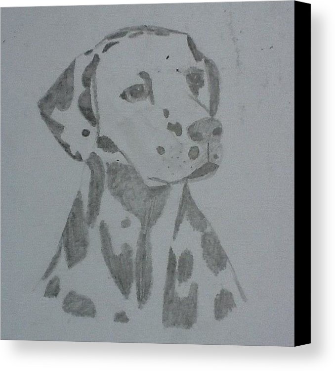 678x750 Dalmatian Sketch Canvas Print Canvas Art By Ella Gradidge - Dalmatian Sketch