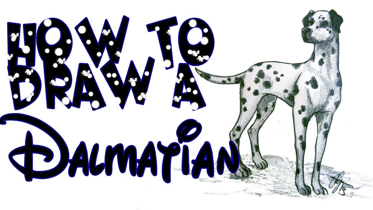 1280x720 How To Draw A Dalmatian Dog - Dalmatian Sketch