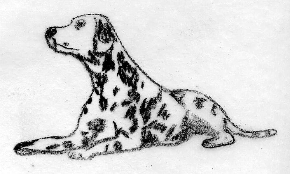 994x598 Seeing Spots Adventures In Bead Embroidery - Dalmatian Sketch