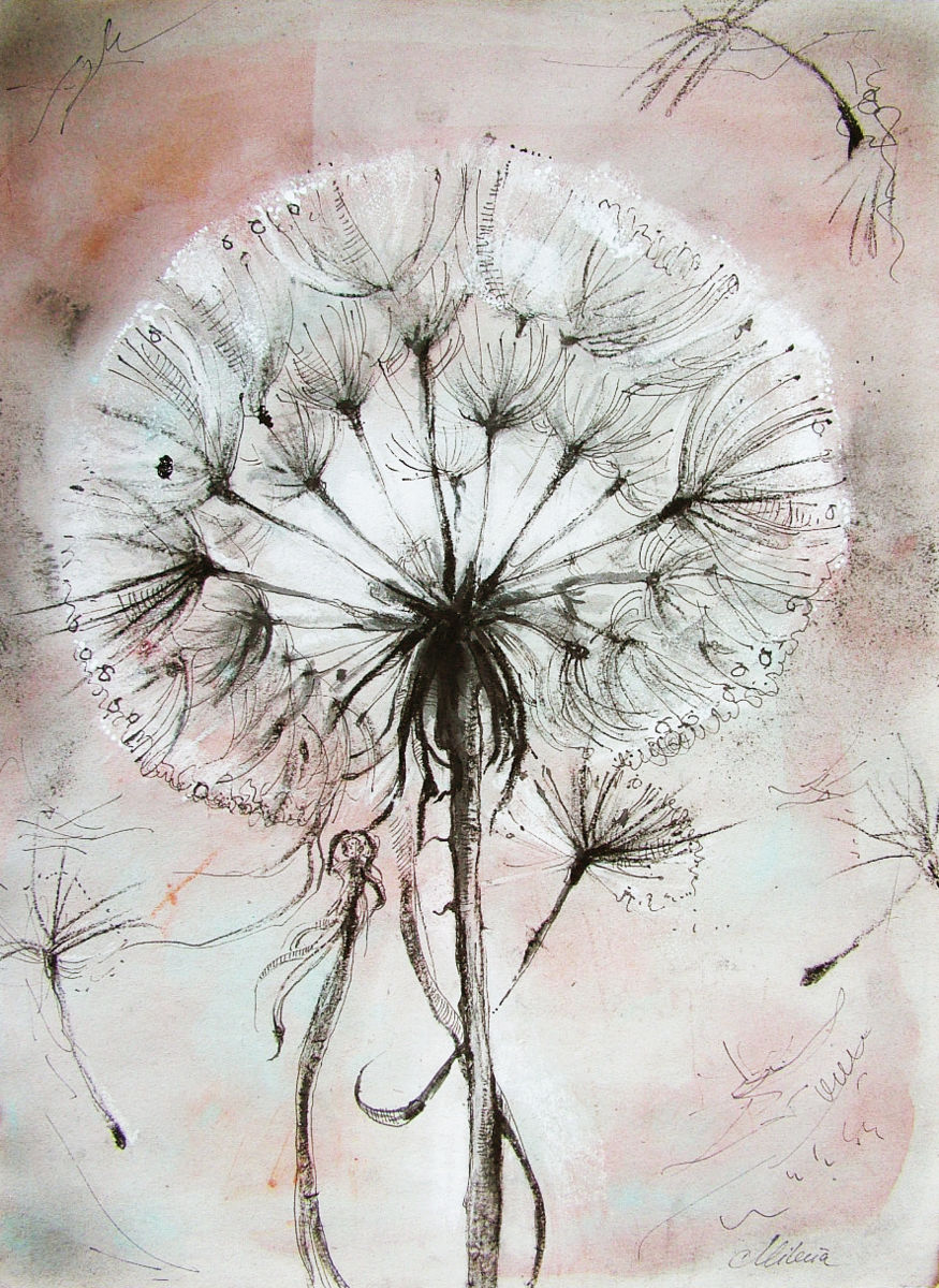 875x1200 Dandelion (Milena Dimitrova) - Dandelion Sketch